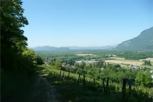 Au fil des sentiers au dessus de Serrières.