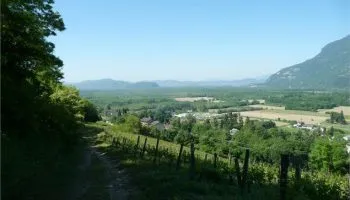 Au fil des sentiers au dessus de Serrières.