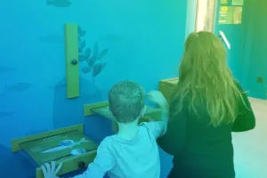 Aqualis propose une expérience nocturne, à la découverte du lac du Bourget.
