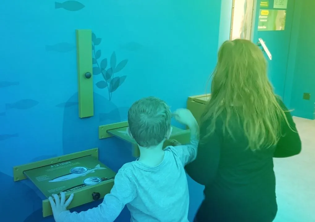 Aqualis propose une expérience nocturne, à la découverte du lac du Bourget.