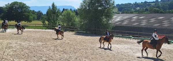 Pendant le spectacle, sur la musique de 