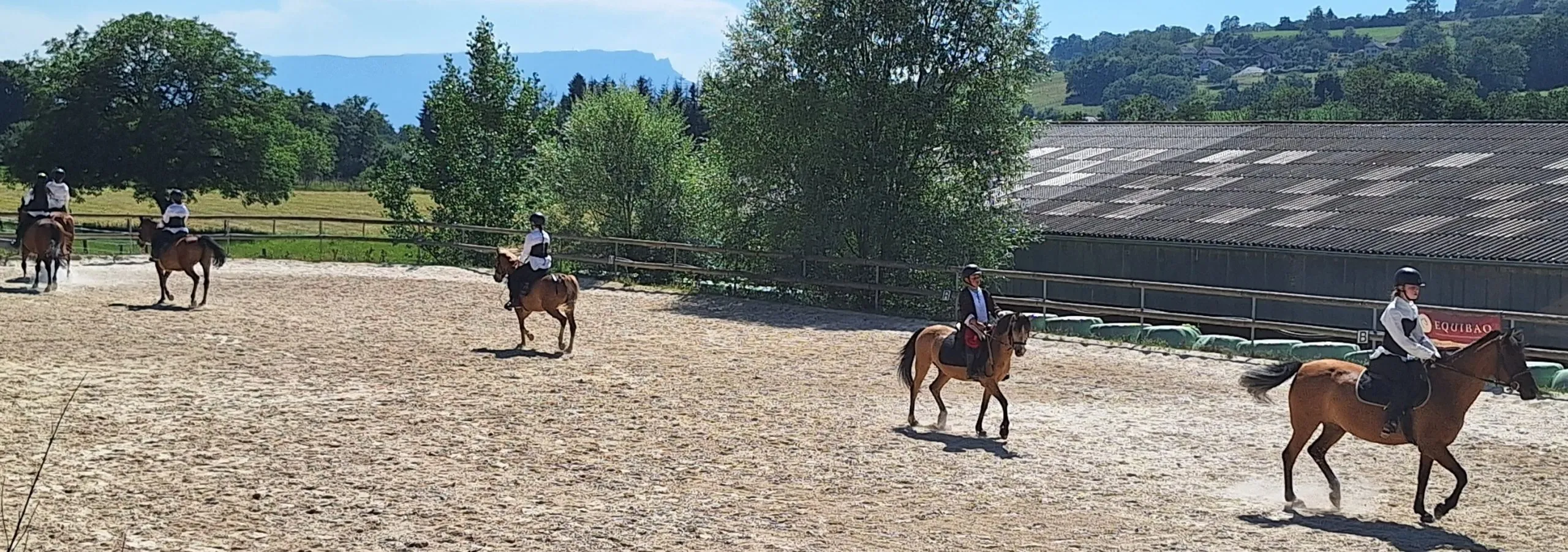 Pendant le spectacle, sur la musique de 