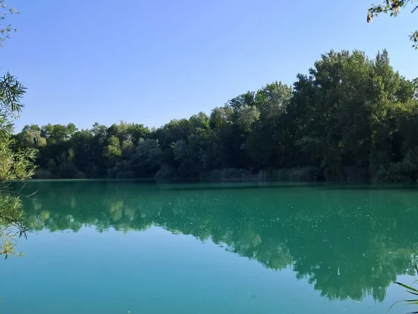 Deux prélèvements ont été réalisés dans le plan d'eau de Rumilly 