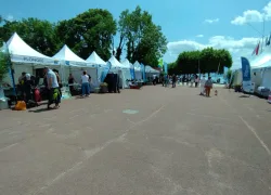 Un village sportif s'est tenu pendant les deux jours de l'événement, où les associations et les clubs locaux ont pu renseigner les habitants sur les pratiques sportives et nautiques du territoire.