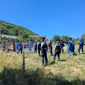 Beaucoup de gendarmes étaient mobilisés à Entrelacs.