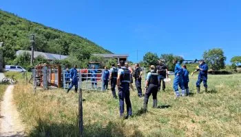 Crise sanitaire bovins : une journée de mobilisation sous haute tension