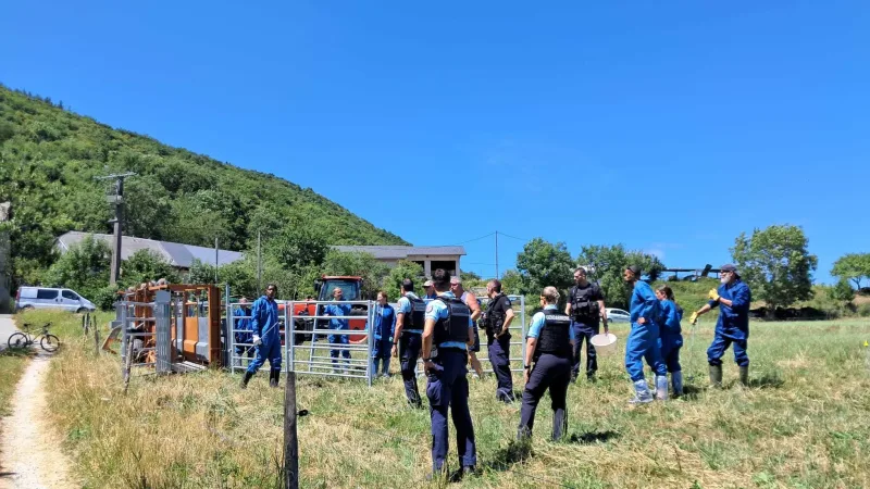 Beaucoup de gendarmes étaient mobilisés à Entrelacs.