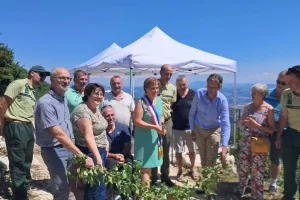 Le lierre d'inauguration de l'accès PMR a été coupé avec un marteau forestier.