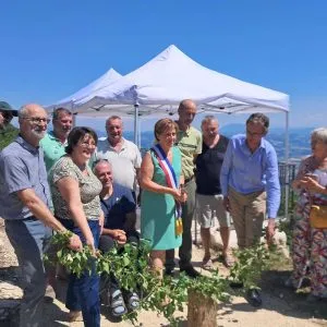 Le lierre d'inauguration de l'accès PMR a été coupé avec un marteau forestier.