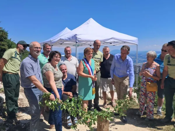 Le lierre d'inauguration de l'accès PMR a été coupé avec un marteau forestier.