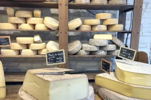 Les montagnes savoyardes permettent la production de lait et de fromages souvent protégés par des sigles de qualité tels que des AOP. 