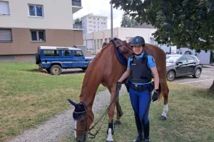 Jeanne est gendarme à la brigade de Rumilly - Alby et membre de la brigade équestre cet été.
