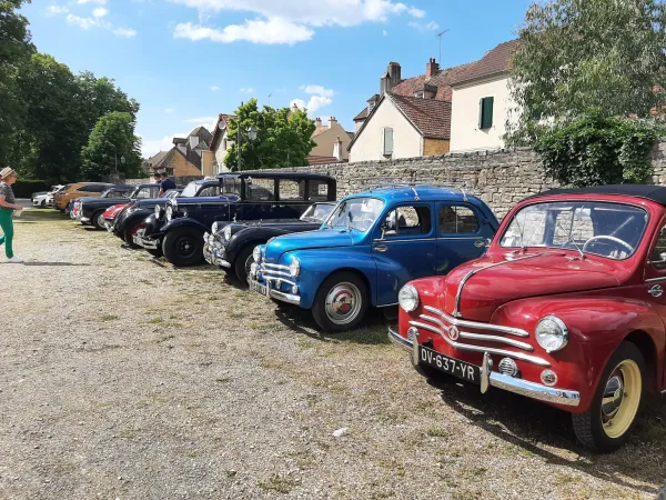 La bourse aux voitures permet de voir une multitude de voitures de collection.