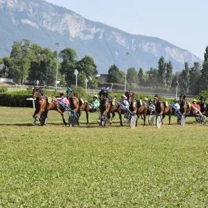 Premier passage devant les tribunes de la 5ème course avec 16 partants