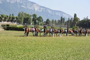 Premier passage devant les tribunes de la 5ème course avec 16 partants