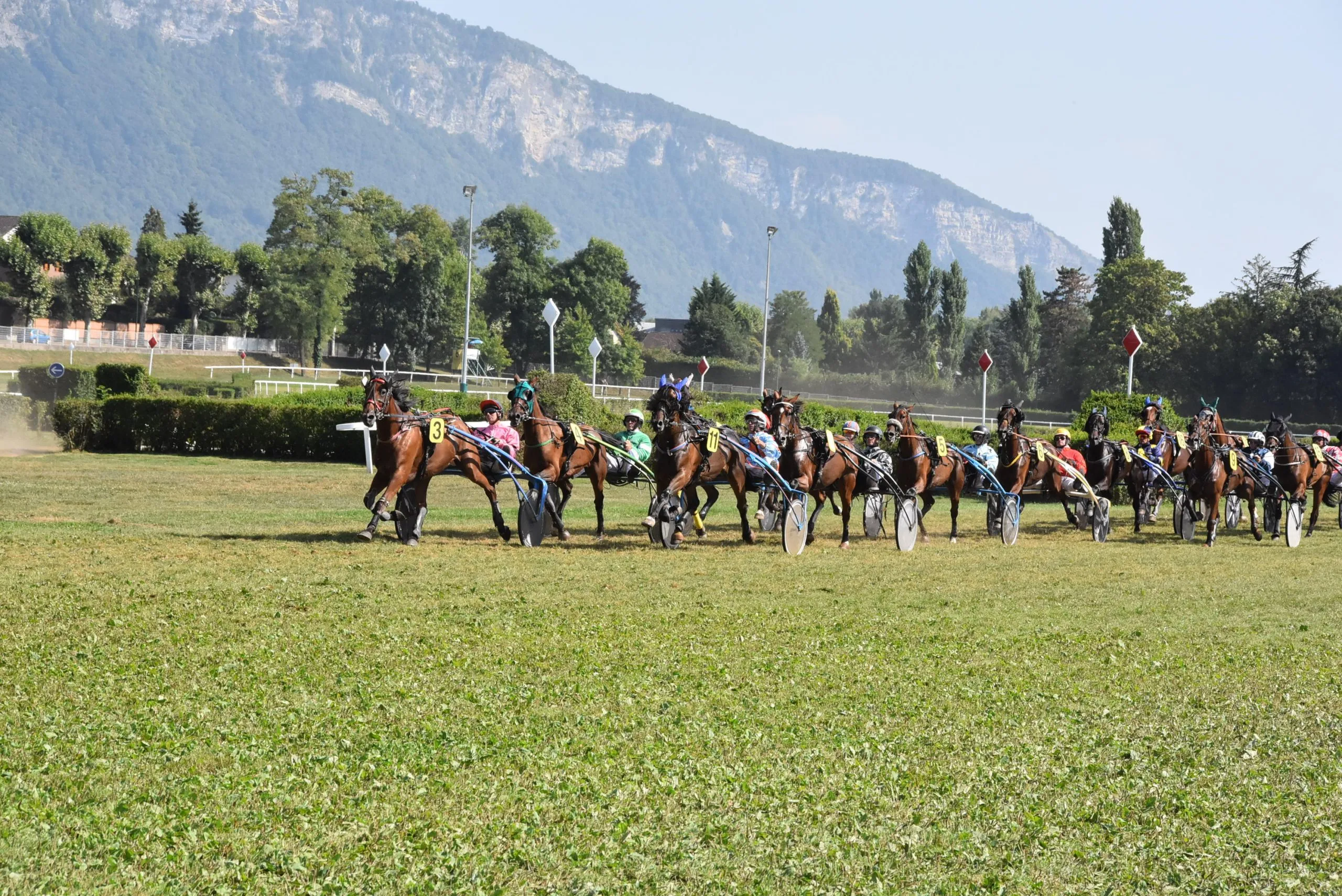Premier passage devant les tribunes de la 5ème course avec 16 partants