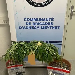 Une belle prise.