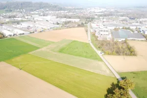 La plaine de Balvay est censé accueillir un parc d'activité sur 4 hectares, créant 90 emplois et bénéficiant à auteur de plus de 13 millions d'euros de contrats aux entreprises de construction du territoire.