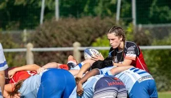 Concentrée sur la mêlée.