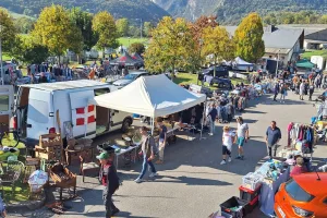 Visiteurs. De nombreux visiteurs ont arpenté l'esplanade de la salle des rencontres à Sion, pour rencontrer les 65 exposants présents.