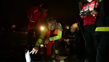 Grace au drone ils ont pu localiser l'animal.