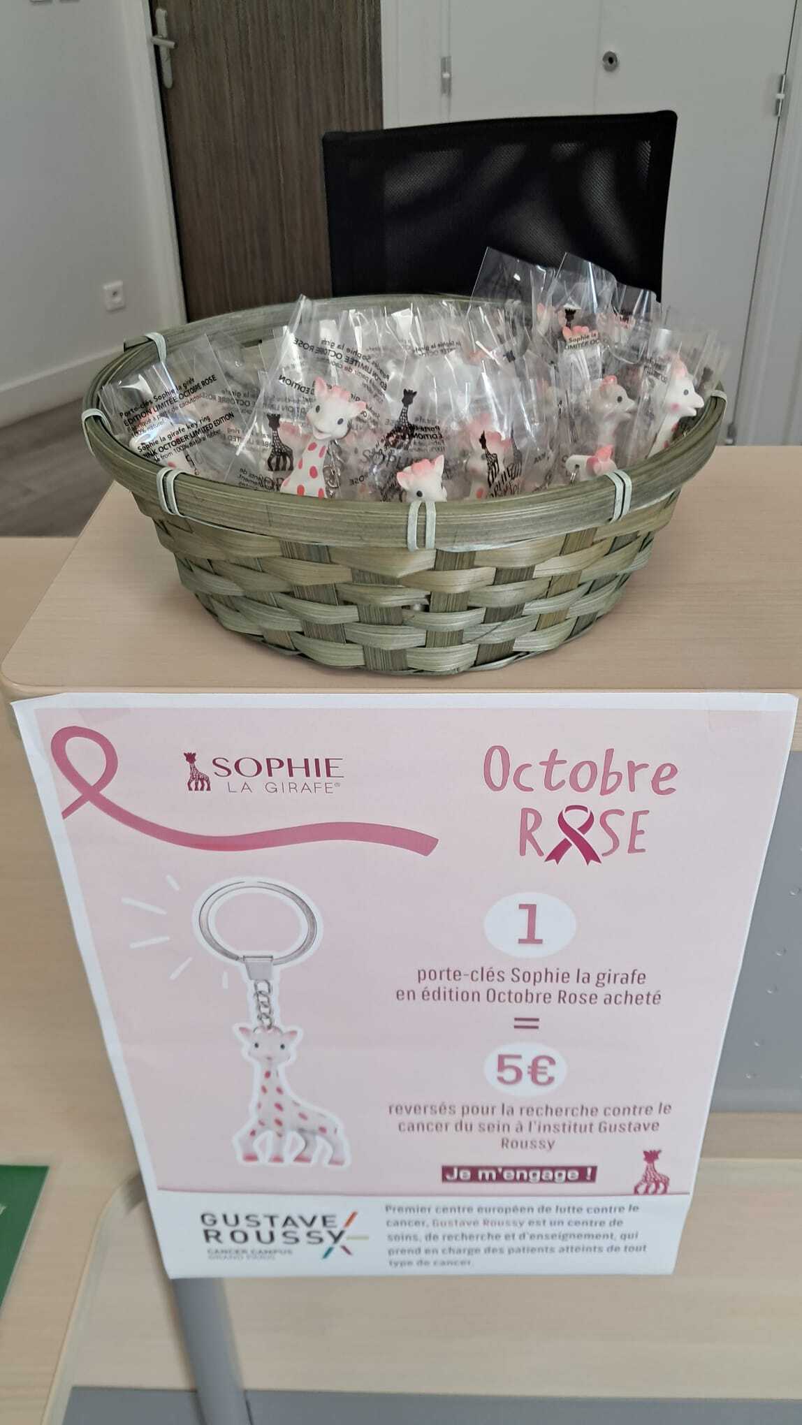 Action. Les porte-clés Sophie la girafe rose sont disponibles à l'office de tourisme. - Photo : Alexis Fernandez 