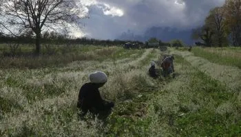 Même si la terre est basse.