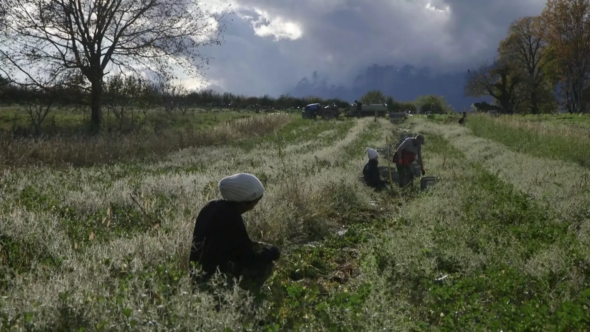 Même si la terre est basse.