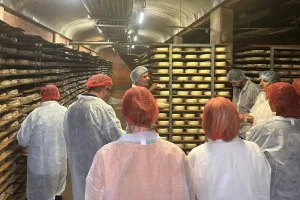 Visite de la cave d'affinage des Tomes des Bauges à la Fruitière des 5 sens, à Gruffy.