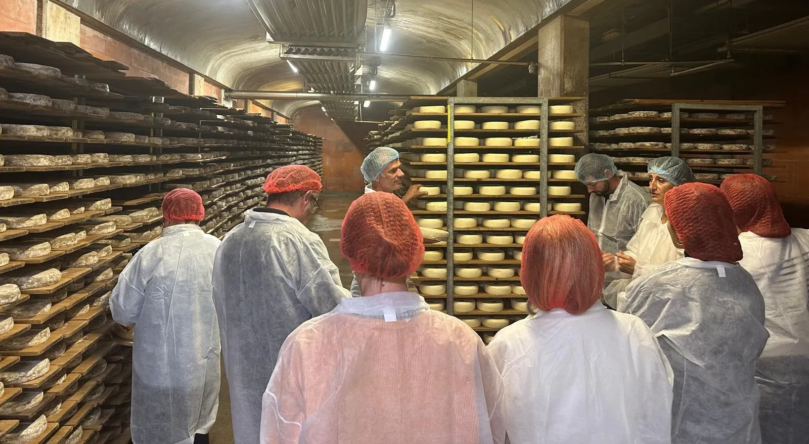 Visite de la cave d'affinage des Tomes des Bauges à la Fruitière des 5 sens, à Gruffy.