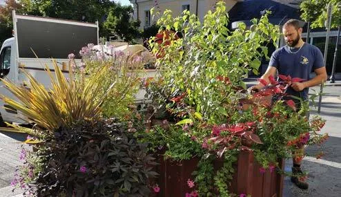 Bourget-du-Lac - Savoie : La persévérance récompensée par un nouveau label fleuri