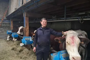 Pascal Coen à Massingy a accueilli de nouvelles vaches en provenance de plusieurs autres exploitations comme d'autres éleveurs du territoire.