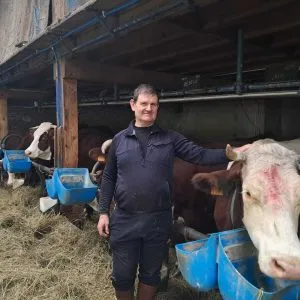Pascal Coen à Massingy a accueilli de nouvelles vaches en provenance de plusieurs autres exploitations comme d'autres éleveurs du territoire.