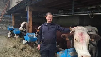 Après la dermatose nodulaire contagieuse, les éleveurs « n’oublient pas mais redémarrent »