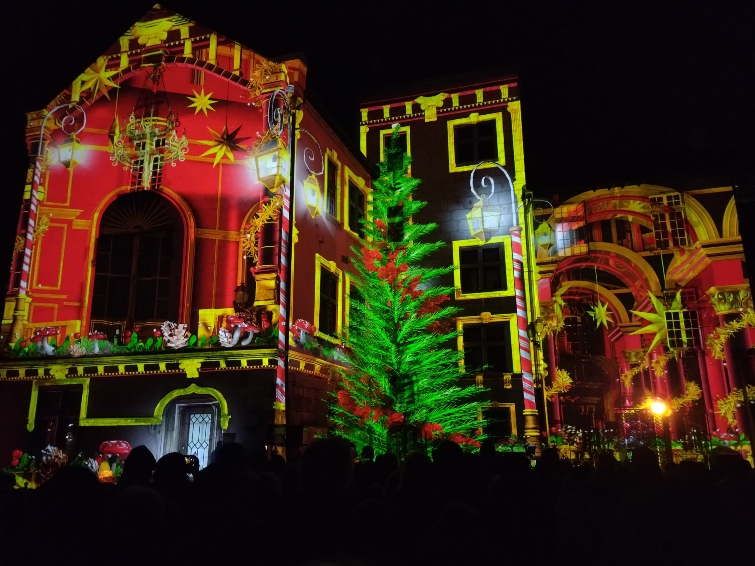 Noël. Le temps d'un mouvement, les plus jeunes ont pu revivre la féérie de Noël avec une chorégraphie lumineuse autour du sapin. - @Virginie Ludwiczak