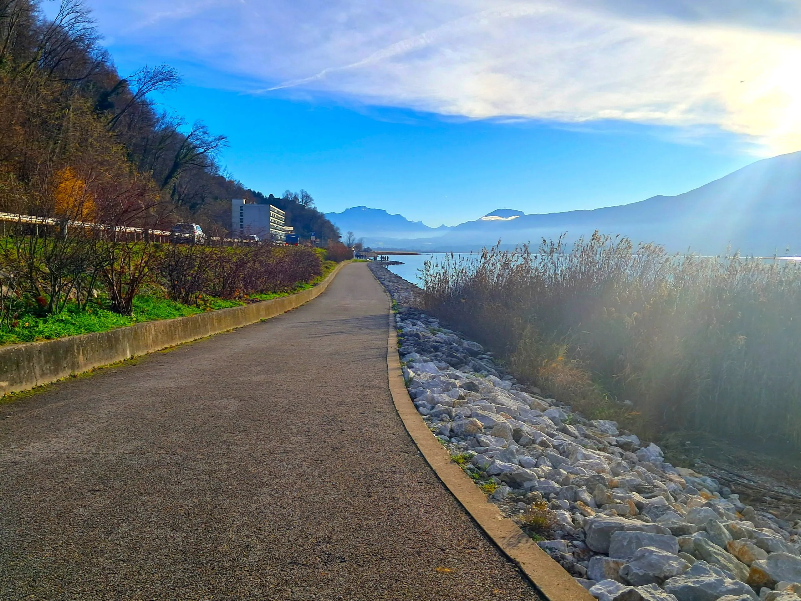 Promeneurs, cyclistes, joggers... La promenade du lac est réouverte avec deux mois d'avance