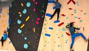 Après 50 ans d’existence, le gymnase Garibaldi métamorphosé