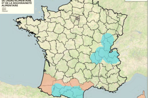 La carte mise à jour.