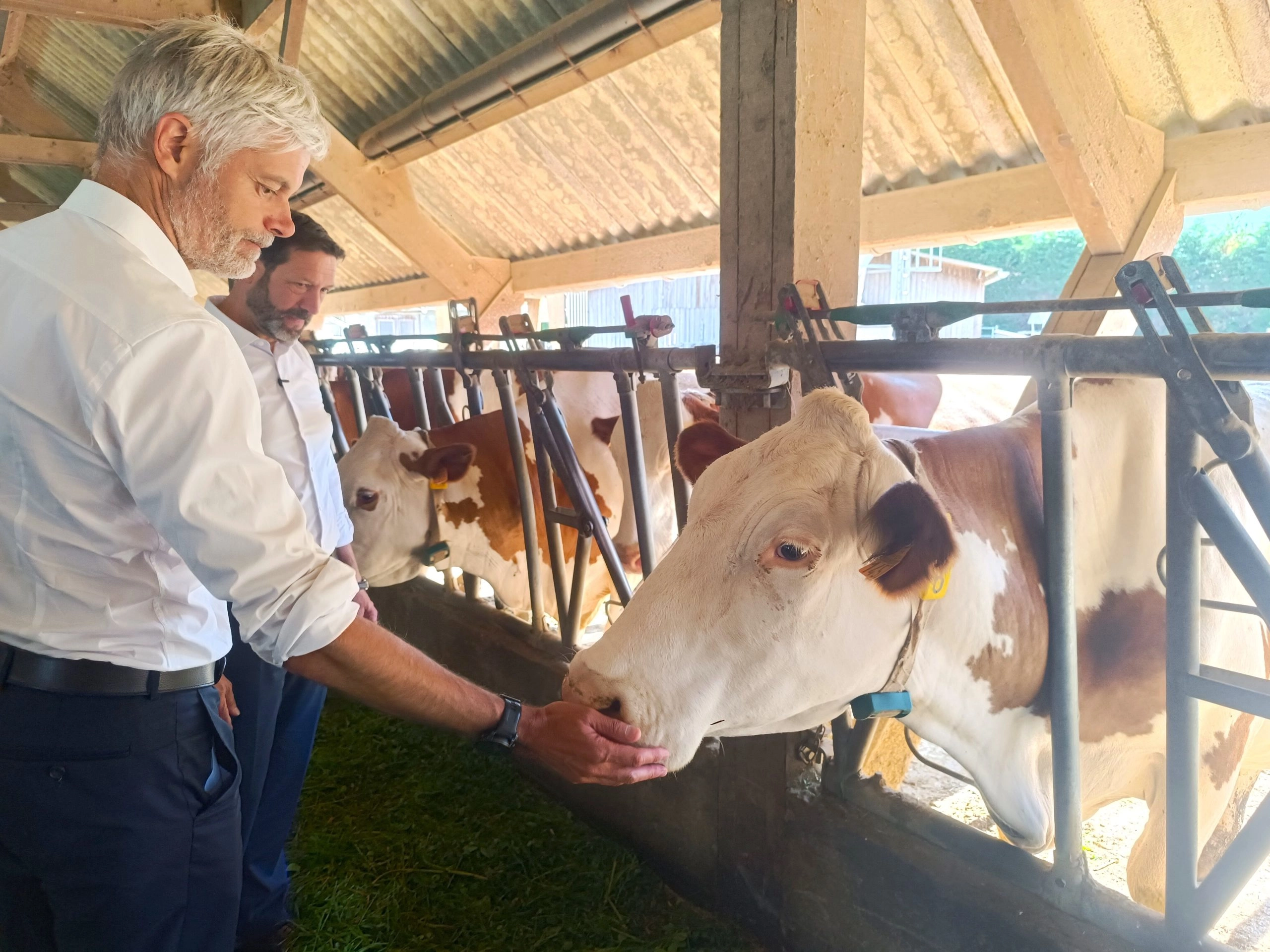 Agriculture : Fabrice Pannekoucke et Laurent Wauquiez dans l'Albanais pour les 10 ans de la Région
