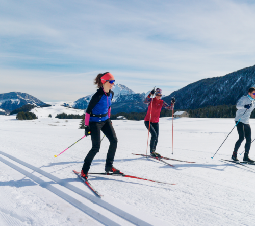 Ski de fond