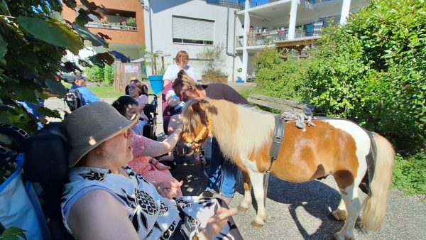 "Game Boy" le poney dédié à l'équithérapie, de l'écurie des Blés d'Or, rend visite aux résidents de l'Hérydan.