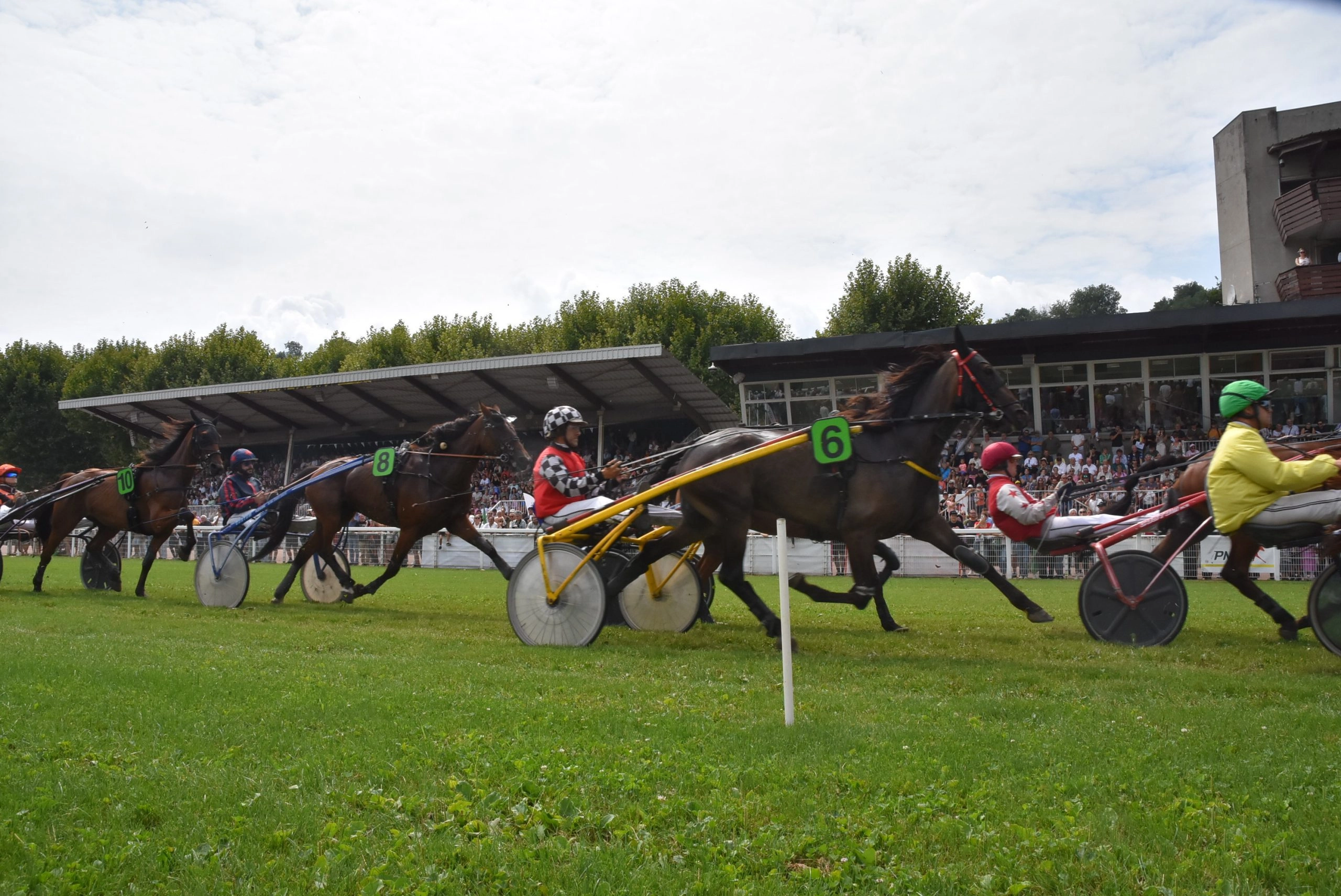 Plus de 2 000 visiteurs pour le Trophée Vert