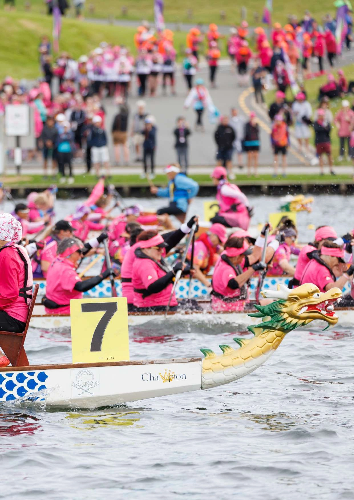 Dragon Ladies : Une vague rose va déferler sur Aix-les-Bains