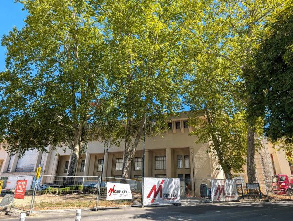 Ces platanes seront sauvés.