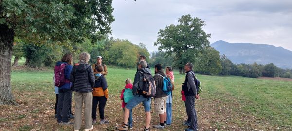 Des participants attentifs aux explications de Clément.