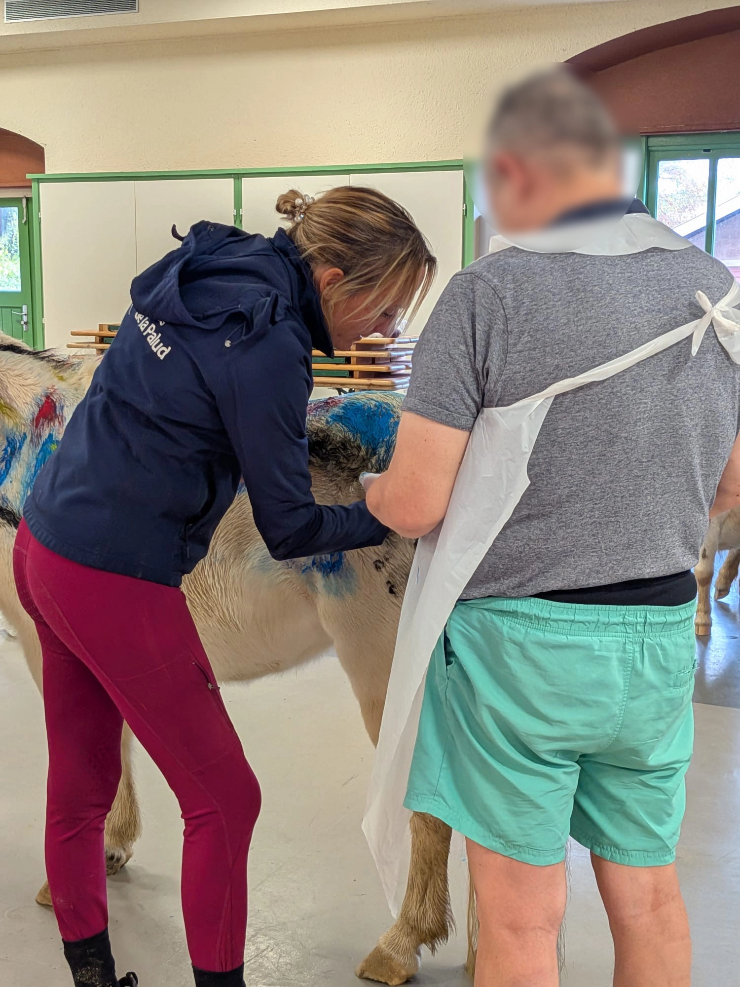 De l'EHPAD aux entreprises, Emma fait du cheval un allié